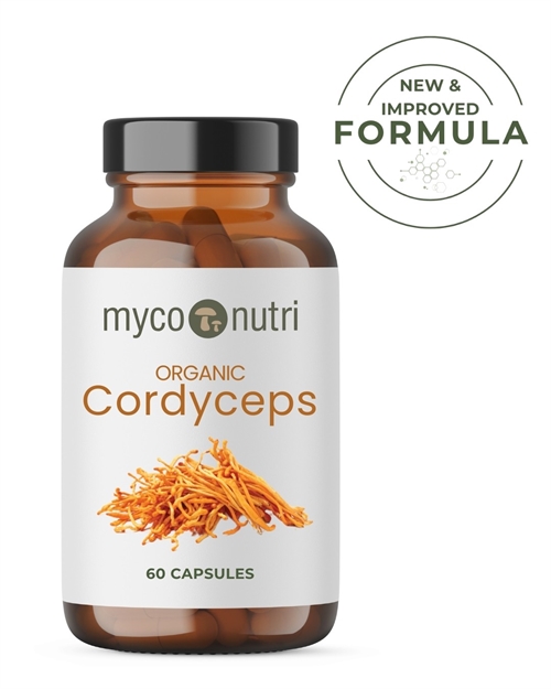 Økologisk Cordyceps ekstrakt